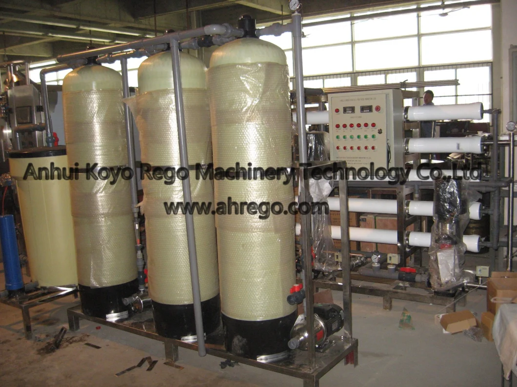 10000L/H Water Treatment Plant