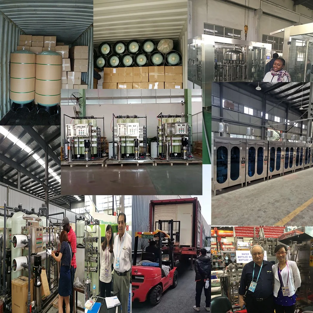 10000L/H Water Treatment Plant