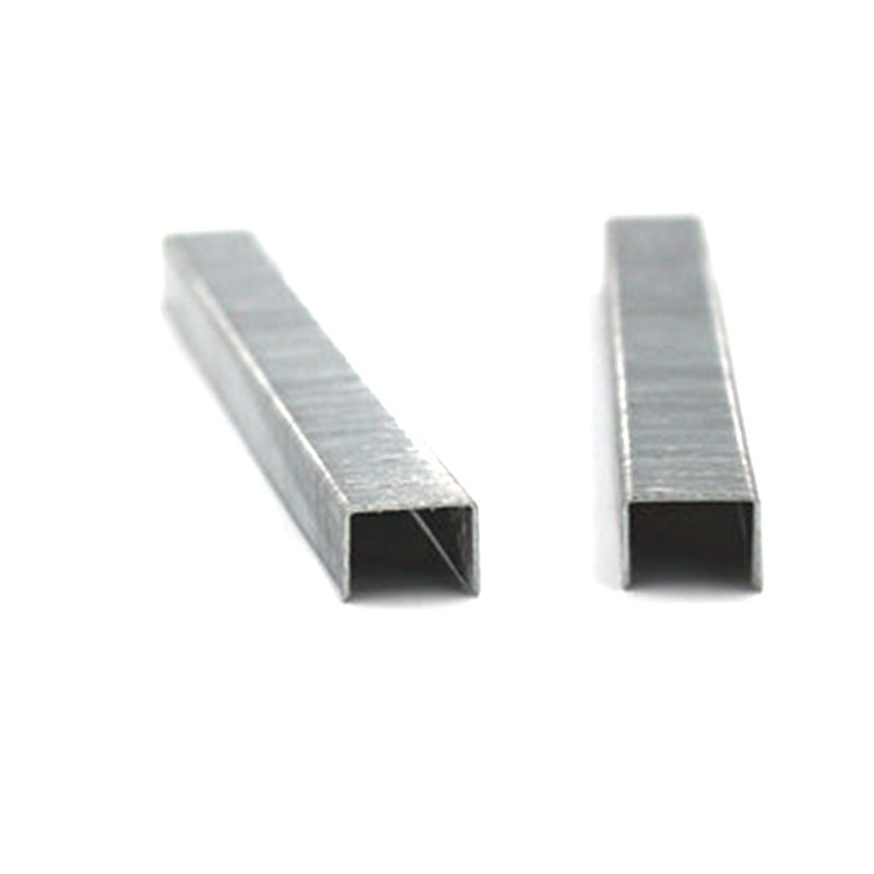 21gauge 1/2" Fine Crown Air Staple Pneumatic Staple 8016 for Furniture Decoration