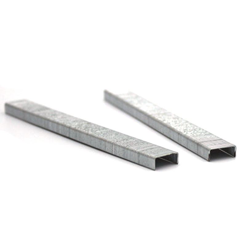 21gauge 1/2" Fine Crown Air Staple Pneumatic Staple 8016 for Furniture Decoration