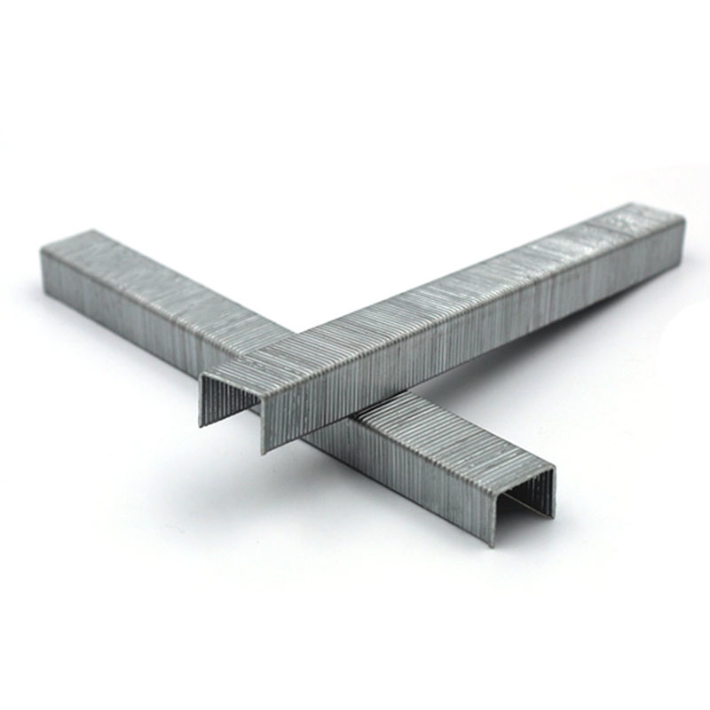 21gauge 1/2" Fine Crown Air Staple Pneumatic Staple 8016 for Furniture Decoration