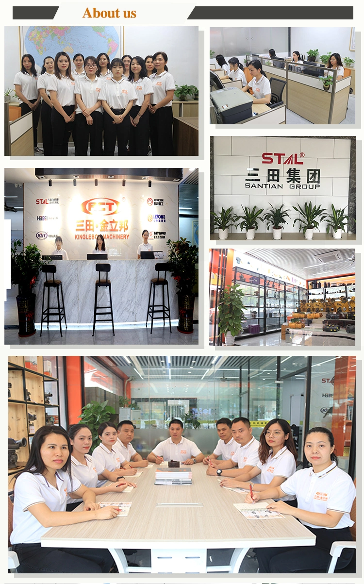 Excavator Good Quality Oil/Fuel/Water/Air/Hydraulic Filter Fj-3069 1907584 Lf3594 C-5705 Oil Filter