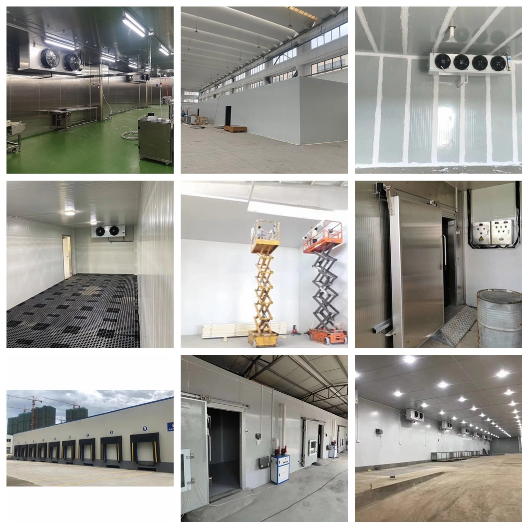 Glass Door Display Cold Room Professional Stainless Steel Cold Room Brunei