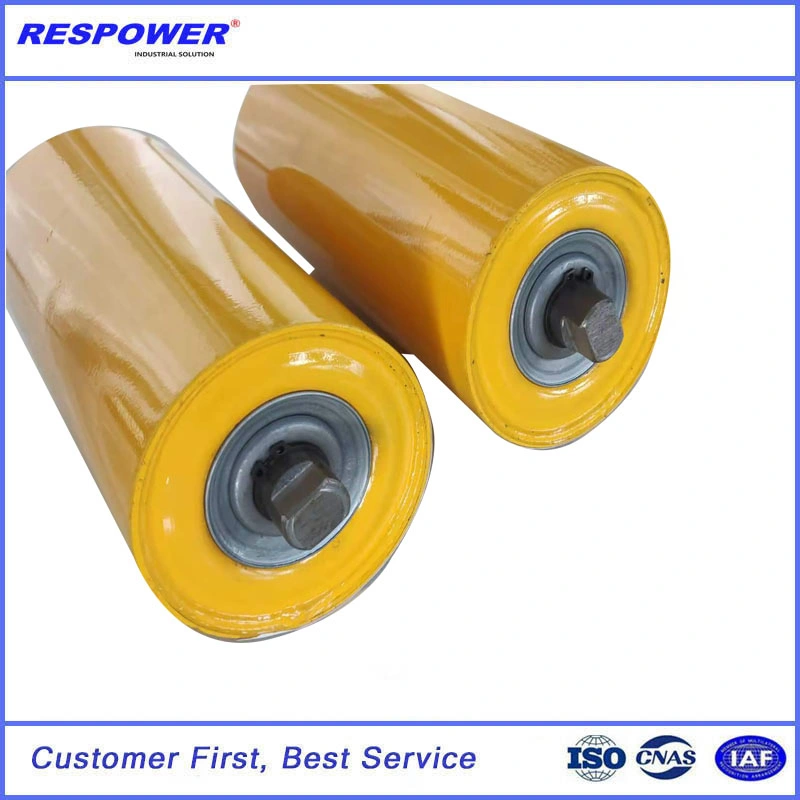 HDPE Roller Steel Roller with Several Seals Achieve Dustproof and Waterproof