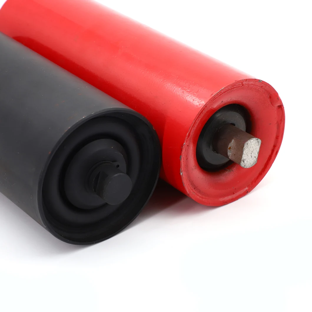 HDPE Roller Steel Roller with Several Seals Achieve Dustproof and Waterproof