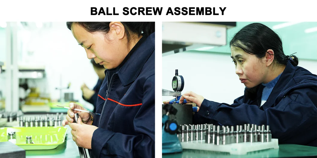 Kgg Rolled Ball Screw with 565mm Travel for LCD Module (BSD Series, Lead: 4mm, Shaft: 10mm)