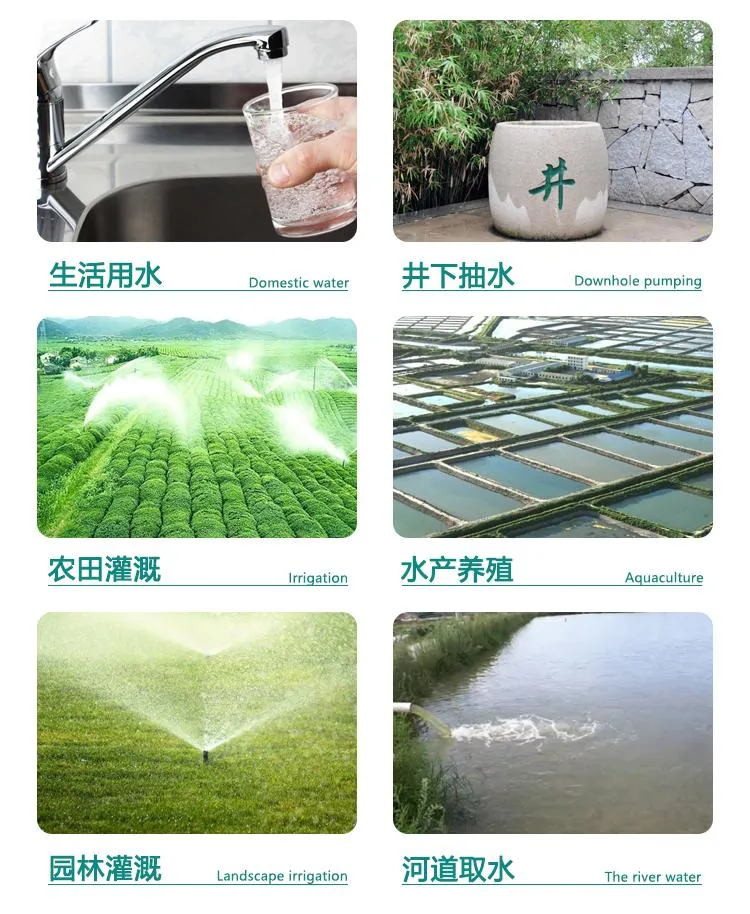 Qdx 550kw 3/4HP Electric Submersible Water Pump for Agriculture Use Deep Well