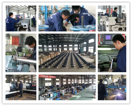 SS304 Stainless Steel Self-Priming Driven Magnetic Pump
