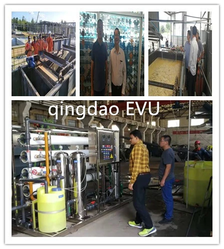 UF Membrane Module Industrial Water Filter for Water Treatment