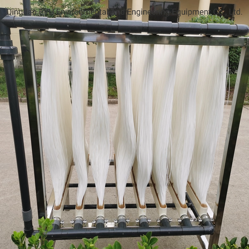 UF Membrane Module Industrial Water Filter for Water Treatment
