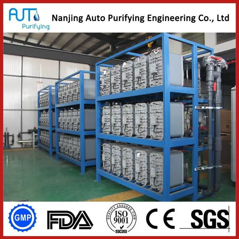 Ultrapure Water EDI Reverse Osmosis System