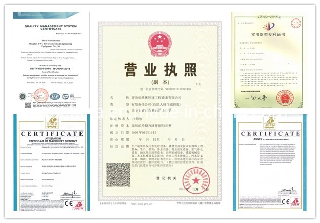 Water Treatment Seawater/ Brackishwater/Swro/Bwro/Underground Water/Borehole Water/Wellwater Desalination System/Equipment/Machine/Plant