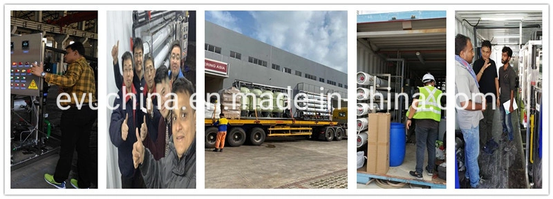 Water Treatment Seawater/ Brackishwater/Swro/Bwro/Underground Water/Borehole Water/Wellwater Desalination System/Equipment/Machine/Plant