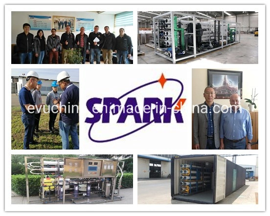 Water Treatment Seawater/ Brackishwater/Swro/Bwro/Underground Water/Borehole Water/Wellwater Desalination System/Equipment/Machine/Plant