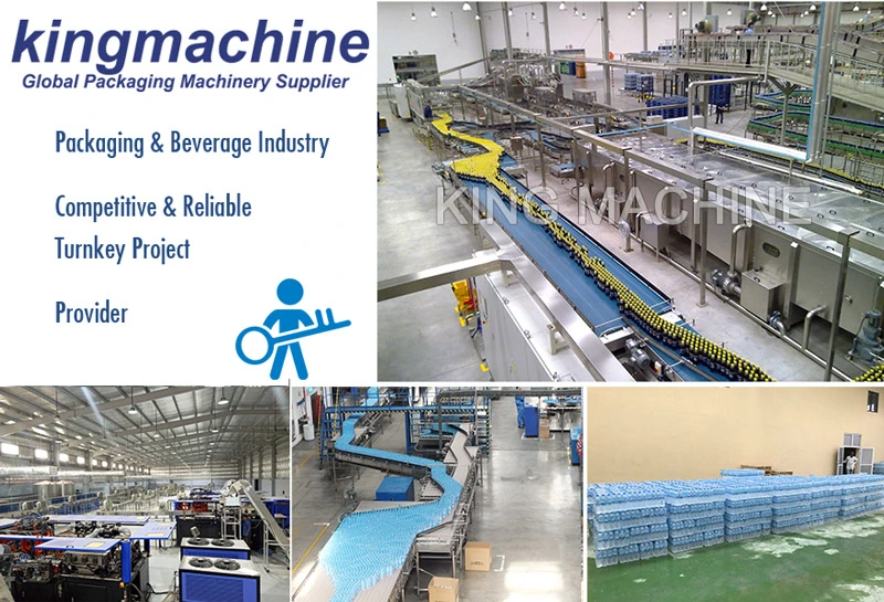Zhangjiagang Automatic Industrial Drinking Pure Mineral Water RO Reverse Osmosis Water Filters Water Treatment Purifucation System Purifying Plant
