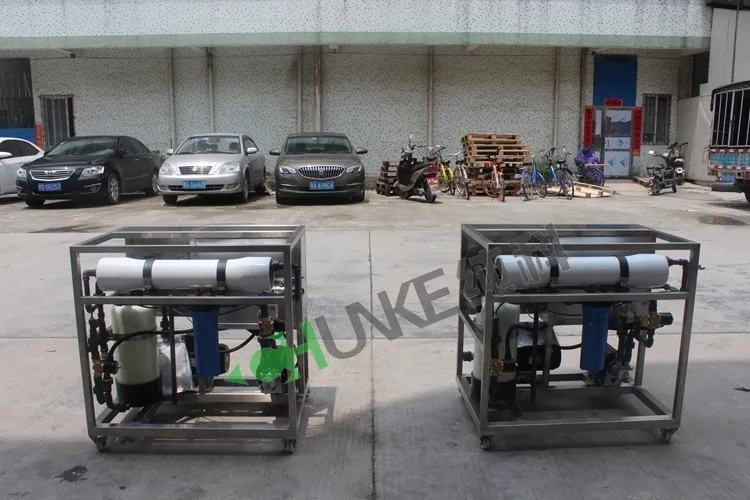 100lph Water Treatment Equipment/Water Treatment System/Reverse Osmosis RO Drinking Water Treatment Plant