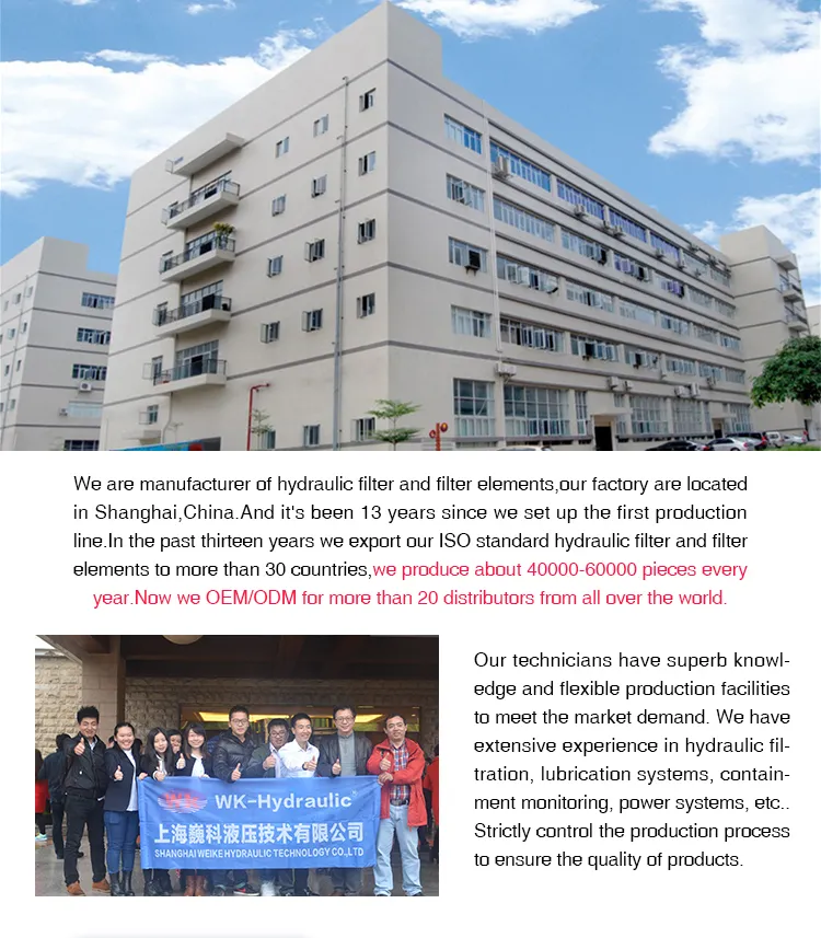 25 Micron Paper /Industrial Filter/Spare Parts/Metal Mesh Filter/Cross Reference Filter/Equivalent