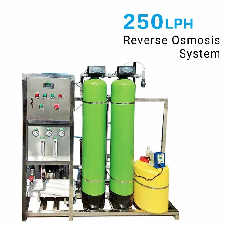 250lph Water Purification Machines Price with RO Membrane