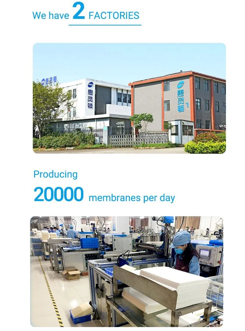 250lph Water Purification Machines Price with RO Membrane