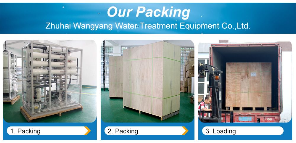 30tpd Reverse Osmosis Seawater Desalination Water Treatment Plant for Drinking