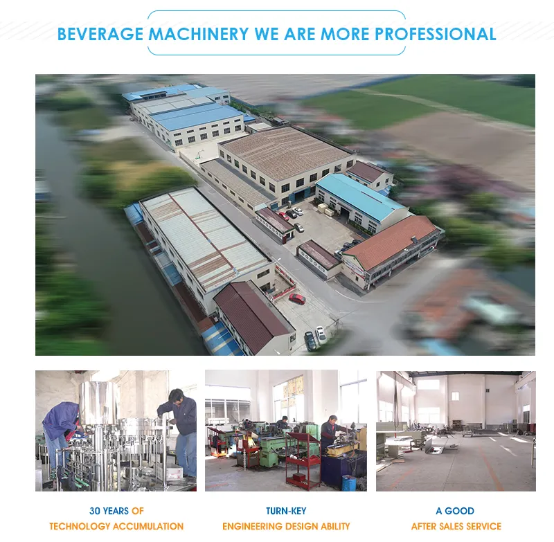 50-500tpd Water Treatment Equipment/Water Treatment System/Reverse Osmosis RO Drinking Water Treatment Plant