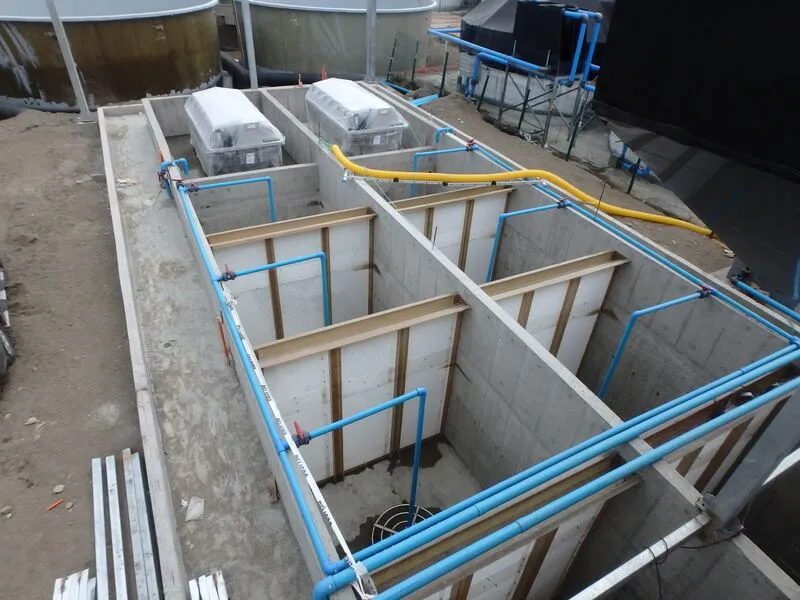 Aquaculture Biochemical Filtration Ammonia Nitrogen Nitrite Removal Equipment