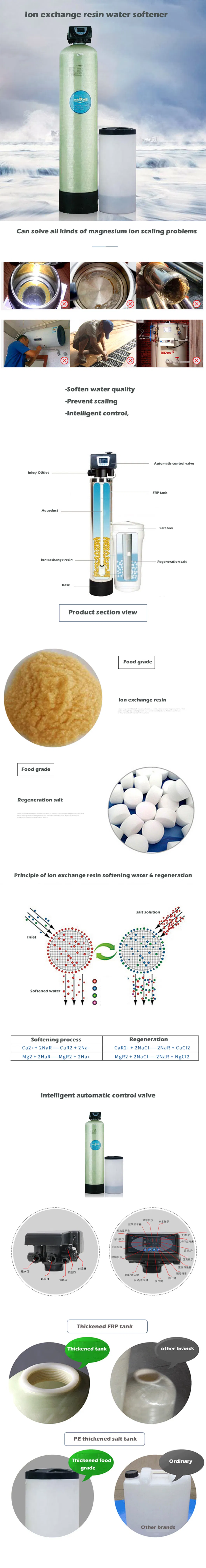 Automatic Household 250lph 500lph Water Softener System