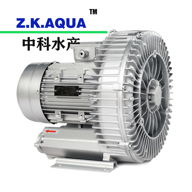 Blowers and Ring Blowers Manufacturer High Pressure Air Ring Blower with Ras System