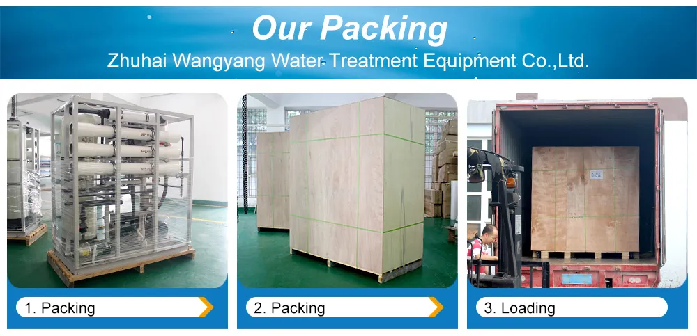 Boat RO Sea Water Treatment Machine in Cheap Price