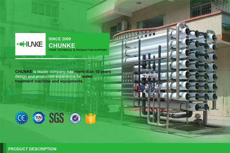 Chunke 15t/H Water Treatment RO Plant Good Price