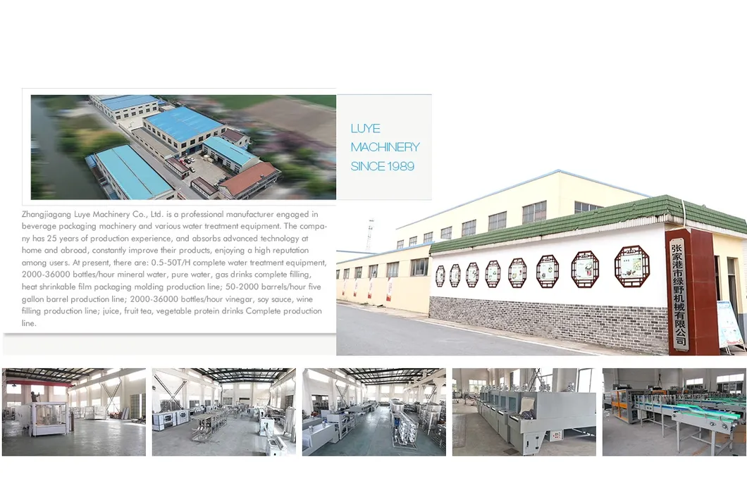 Drinking Water Treatment Chemicals System with Ce/Reverse Osmosis Drinking Mineral Water Plant Cost/Drinking Water Treatment/Purify System/Processing