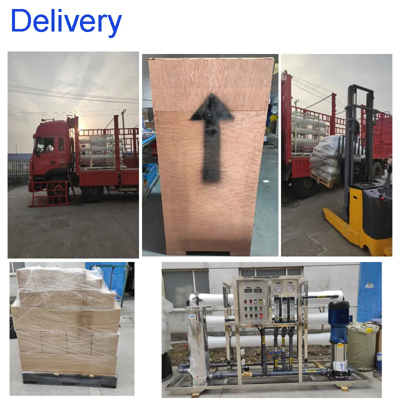 Factory Price 250lph Reverse Osmosis Membrane Filter RO System