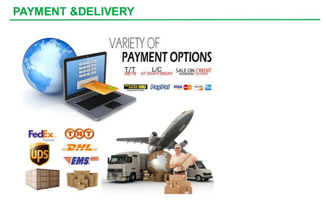 High Efficiency Replacement Compressor Part Oil Filter 1513033700 1513033701 2903033700