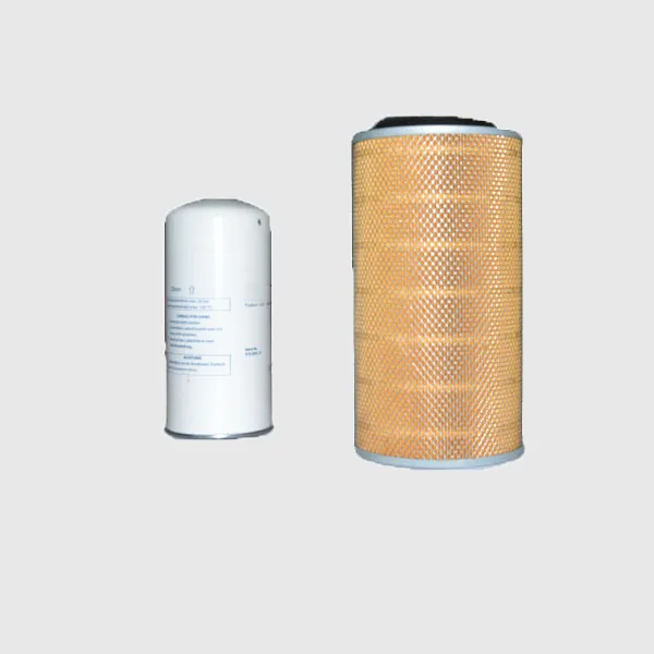 High Quality Compressed Air Compressor Parts 1613950100 for Air Filter