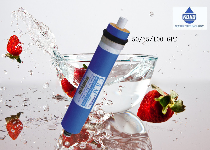 Home Household RO Membrane Vontron /Csm/Filmtec/FCS