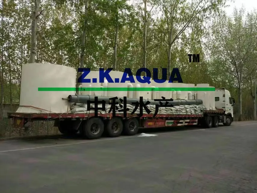 Moving Bed Filter High Efficiency 15~250m3/H Water Treatment Equipment with Ras