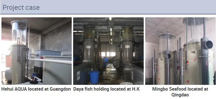 Moving Bed Filter High Efficiency 15~250m3/H Water Treatment Equipment with Ras