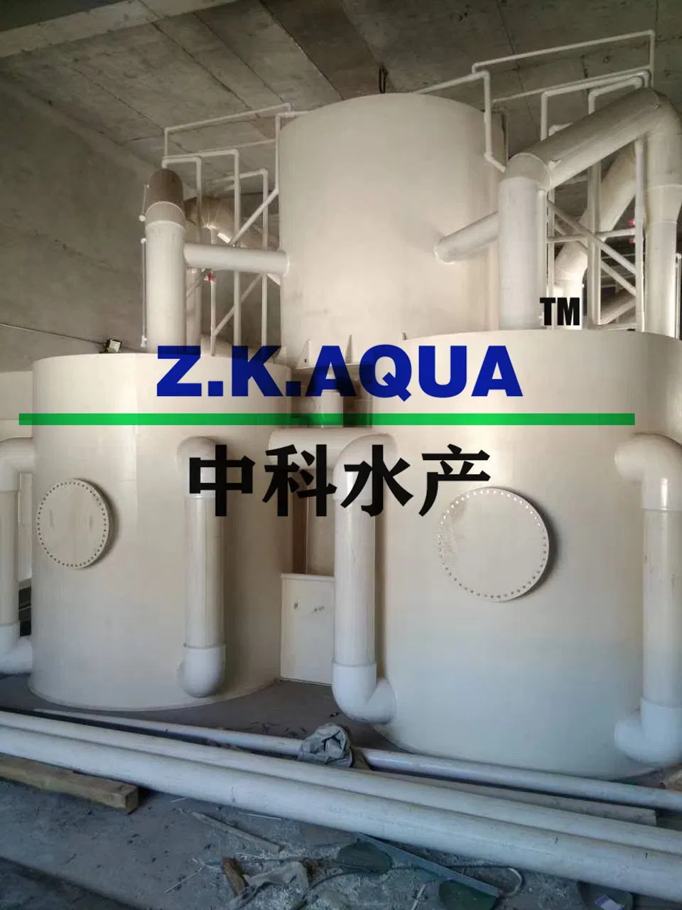 Moving Bed Filter High Efficiency 15~250m3/H Water Treatment Equipment with Ras