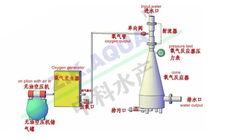 Oxygen Cone for Inprove Table Fish Survival Rate Ras Indoor Fish Culture Oxygen Cone Good Oxygen Cone