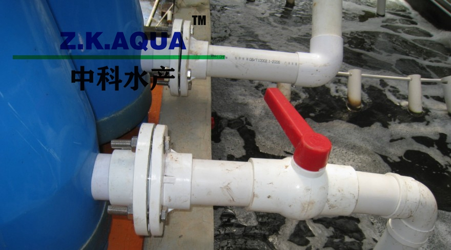 Oxygen Cone for Inprove Table Fish Survival Rate Ras Indoor Fish Culture Oxygen Cone Good Oxygen Cone