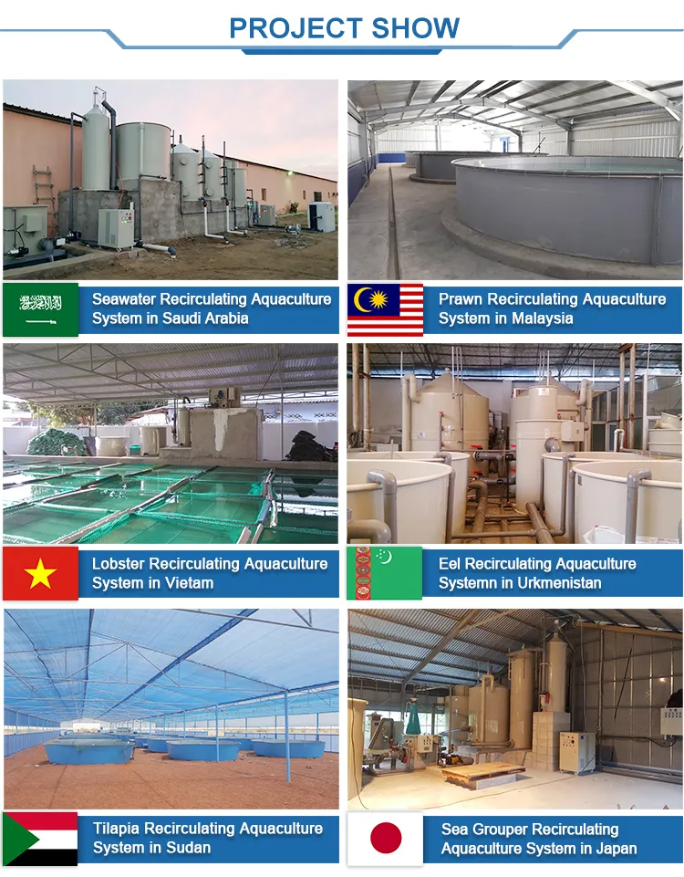 Ras Manufacturers Commercial Protein Skimmer for Shrimp Farm, Protein Skimmer for Recirculating Aquaculture System