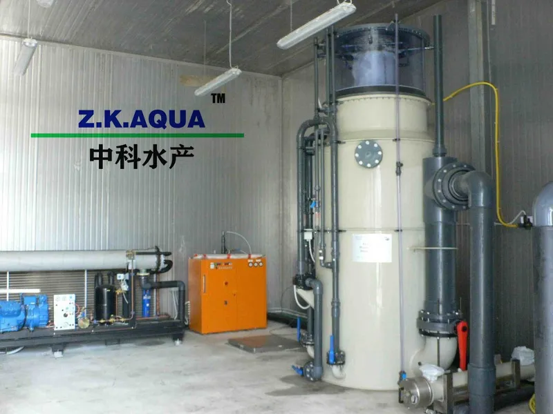 Ras System Equipment Pump Skimmers for Sale Piscicultural Aquaculture 250m3/H Protein Skimmer