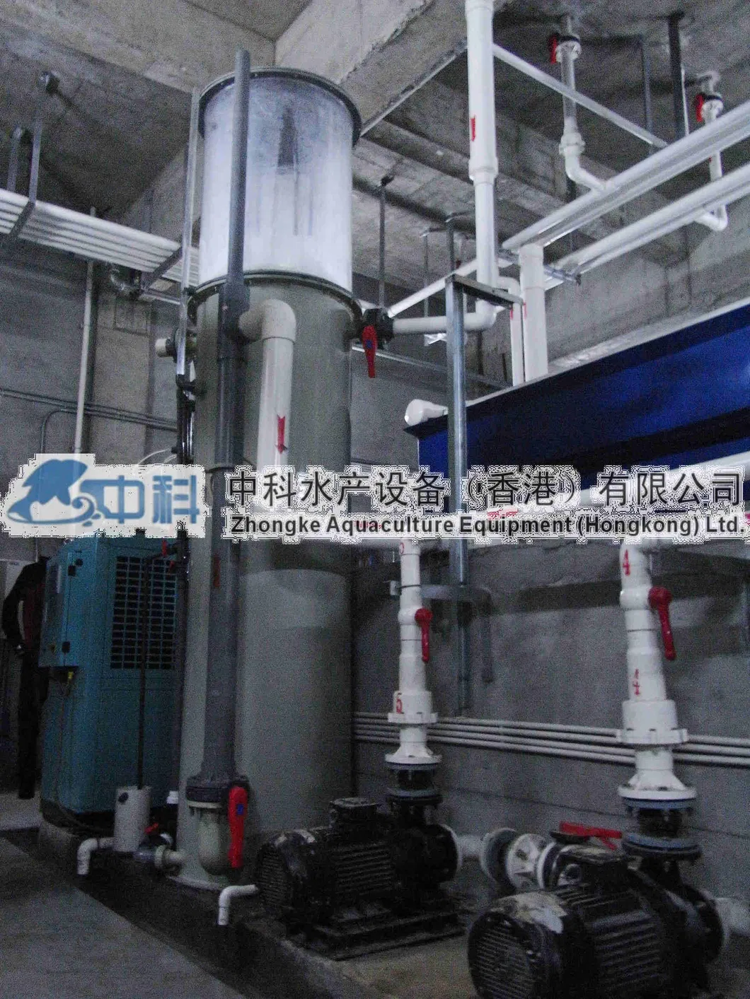 Ras System Equipment Pump Skimmers for Sale Piscicultural Aquaculture 250m3/H Protein Skimmer