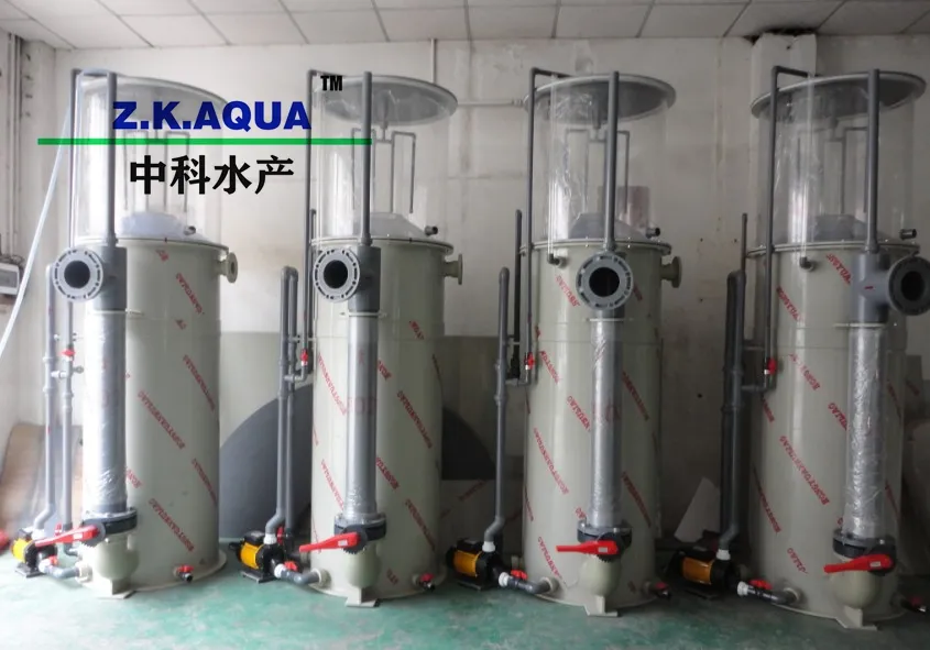 Ras System Equipment Pump Skimmers for Sale Piscicultural Aquaculture 250m3/H Protein Skimmer