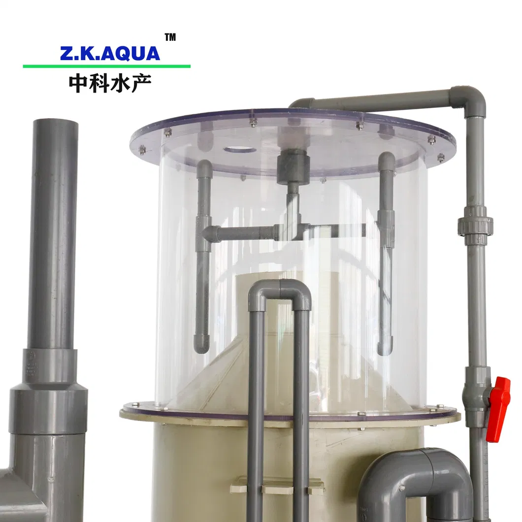 Ras System Equipment Pump Skimmers for Sale Piscicultural Aquaculture 250m3/H Protein Skimmer