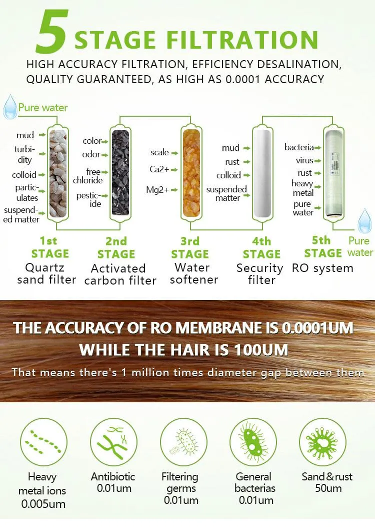 Reverse Osmosis Machine Small Size with Cheap Price for Salty Water Purification Water Treatment Machine for Tap Water Purified Drinking Water Filter for Home
