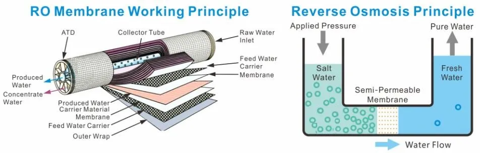 Reverse Osmosis RO Water Treatment &nbsp;Purifying Machine
