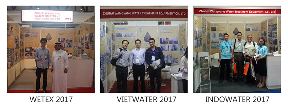 Reverse Osmosis Seawater Purification Machine 500 Gpd Water Desalinator