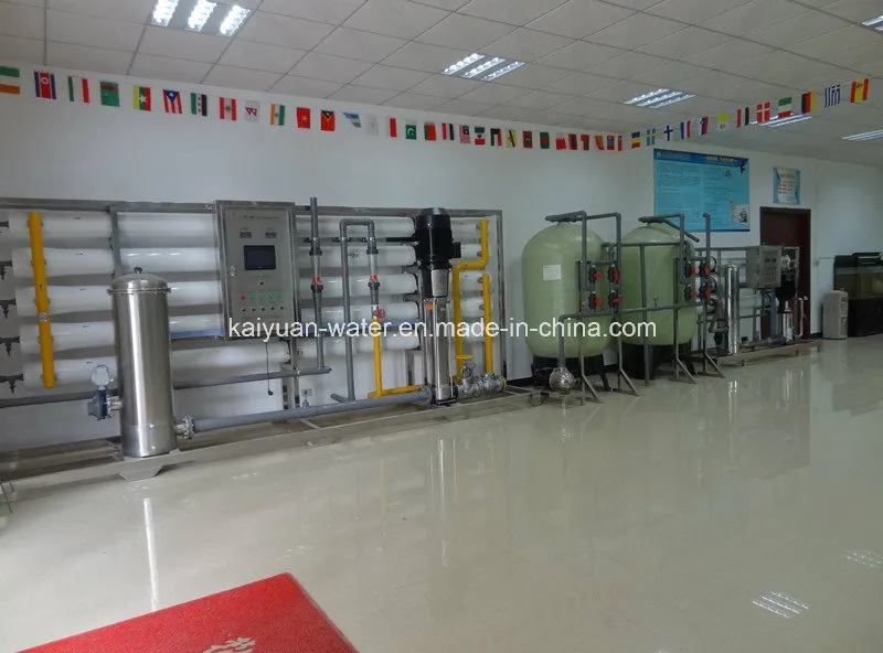 Reverse Osmosis Water Purification Equipment/RO System Water Treatment 6tph