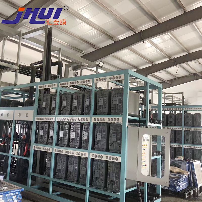 RO Water Purification System with 1000lph EDI System